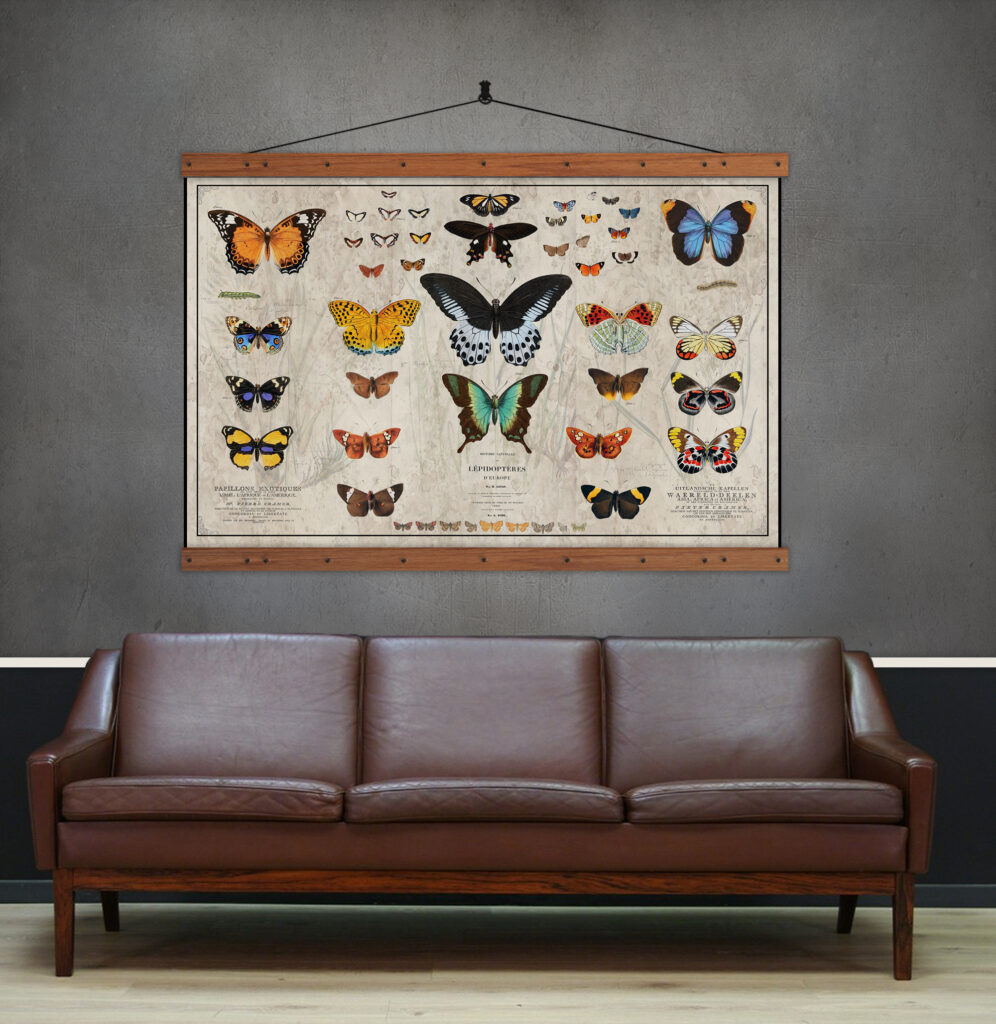 vintage butterflies prints